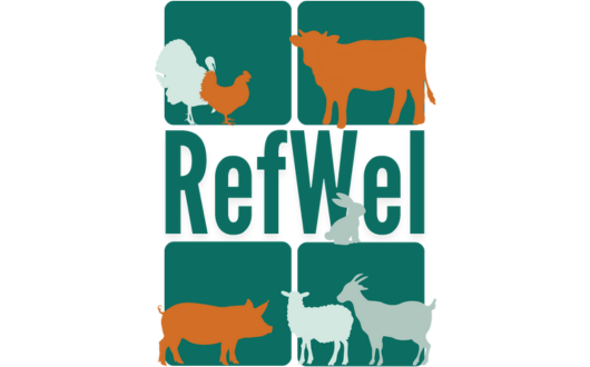 RefWel