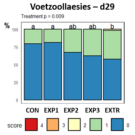 Voetzoollaesies