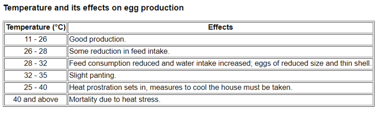 Effect temperatuur op eiproductie (2003)